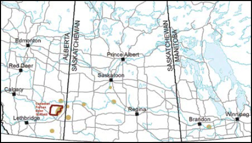 Gold-edged Gem map