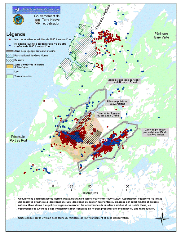 Distribution récente de la martre d’Amérique dans l’ouest de Terre-Neuve