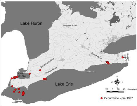Figure 3. Historical distribution (1930-1996) of the Fawnsfoot (Truncilla donaciformis) in Canada. Records obtained from the Lower Great Lakes Unionid Database.