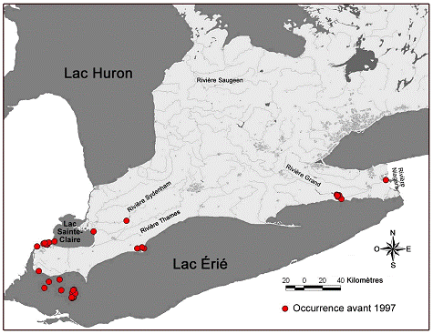 Figure 3. Aire de répartition historique (de 1930 à 1996) du troncille pied-de-faon (Truncilla donaciformis) au Canada. Données tirées de la base de données sur les Unionidés des Grands Lacs inférieurs.