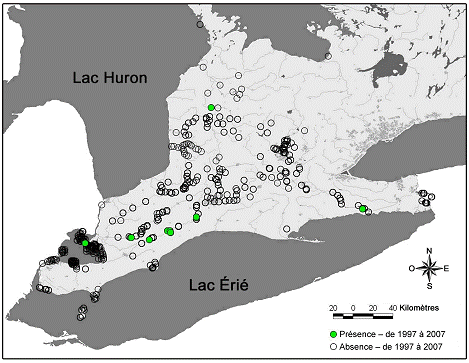 Figure 4. Aire de répartition actuelle (de 1997 à 2007) du troncille pied-de-faon (Truncilla donaciformis) au Canada. Données tirées de la base de données sur les Unionidés des Grands Lacs inférieurs.