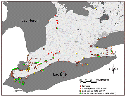 Figure 5. Aire de répartition du troncille pied-de-faon et aires de répartition des deux hôtes potentiels (malachigan et doré noir), et emplacement des barrages. Les données de répartition dutroncille pied-de-faon sont tirées de la base de données sur les Unionidés des Grands Lacsinférieurs, et celles des poissons, de la base de données sur la répartition des poissons de Pêches et Océans Canada. Les données sur l’emplacement des barrages sont fournies par les offices de protection de la nature.