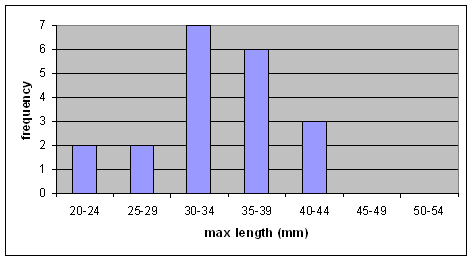 Figure 6. Size distribution of the Fawnsfoot collected from the Sydenham River using timed-search methods in 1998 (n = 13) and quadrat excavations in 1999 (n = 7) (J. Metcalfe-Smith, Environment Canada, unpublished data).