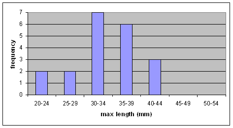 Figure 6. Size distribution of the Fawnsfoot collected from the Sydenham River using timed-search methods in 1998 (n = 13) and quadrat excavations in 1999 (n = 7) (J. Metcalfe-Smith, Environment Canada, unpublished data).