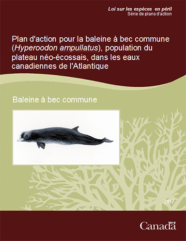 Photo de la couverture du rapport