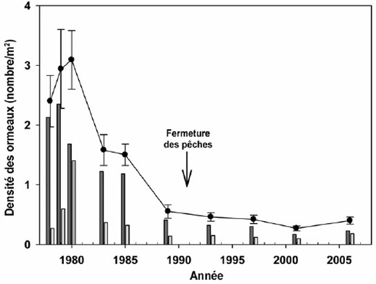 Graphique indiquant les estimations de la densité totale, de la densité des individus matures et celle des individus immatures pour le secteur central de la côte de la Colombie-Britannique.