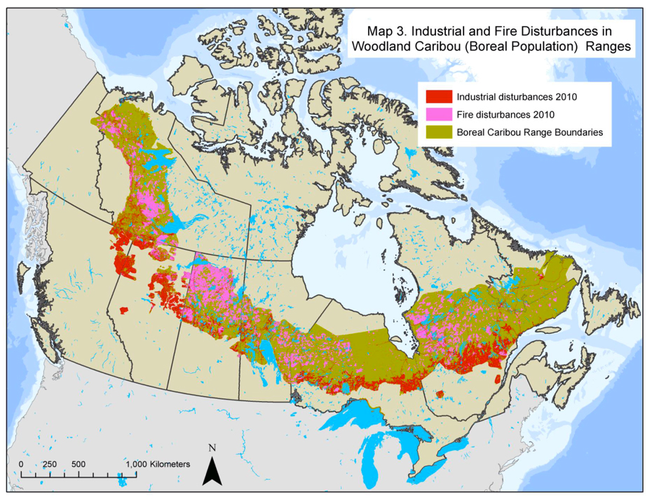 Study areas (La Poile, Middle Ridge and Northern Peninsula) and