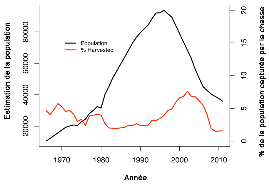 Graphique illustrant la tendance de l’effectif des faons