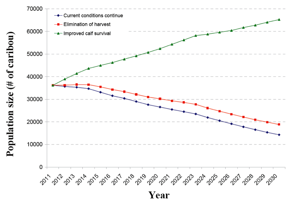 Chart illustrating a population simulation for the Newfoundland population