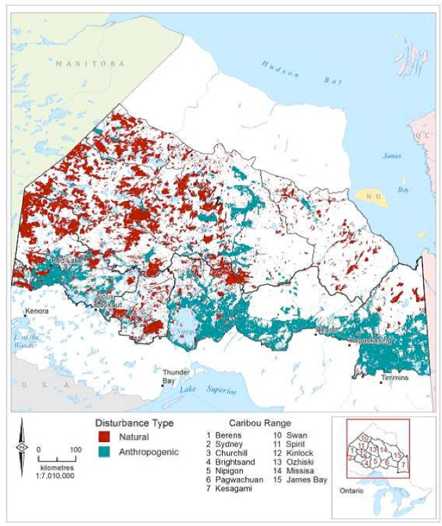 Map illustrating the extent of disturbance in the Ontario