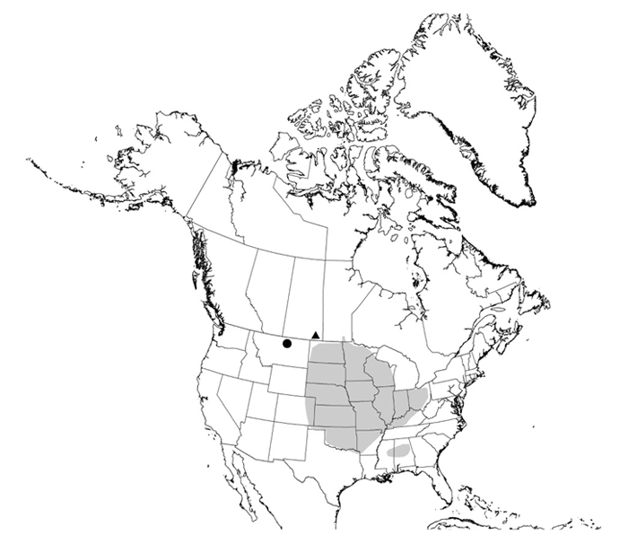 Distribution map of Fascicled Ironweed