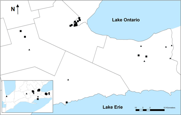 Historical and current distribution of American Columbo in Ontario