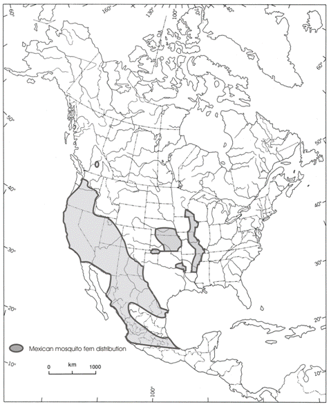 Map showing the North American distribution of the Mexican Mosquito-fern.