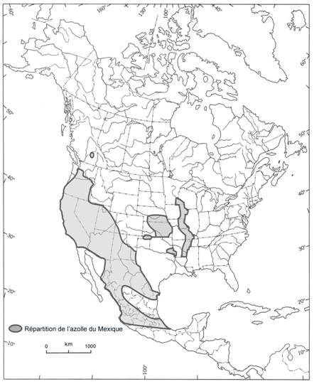 Carte montrant l’aire de répartition nord-américaine de l’azolle du Mexique.