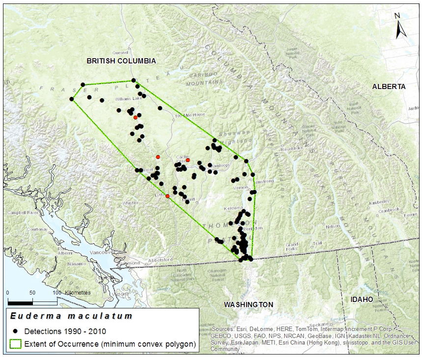 Map illustrating the extent of occurrence of the Spotted Bat