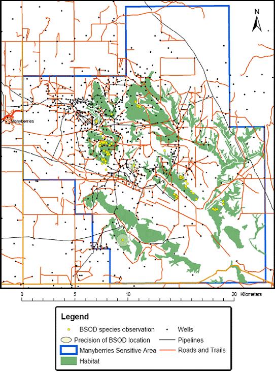 Figure 7. Plot of Greater Short-horned Lizard locations in Manyberries Hills Sensitive Area with development features (wells, pipelines and roads) overlaid.The entire Manyberries Hills Greater Short-horned Lizard population is located within this area. BSOD refers to the Alberta government’s Biological Species Observation Database.