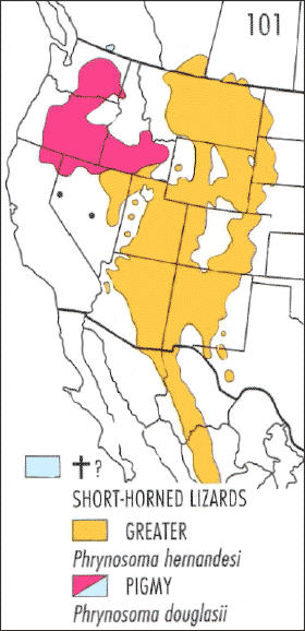 Figure 2. &nbsp;Map of North American distribution of Phrynosoma hernandesi. From Stebbins 2003.