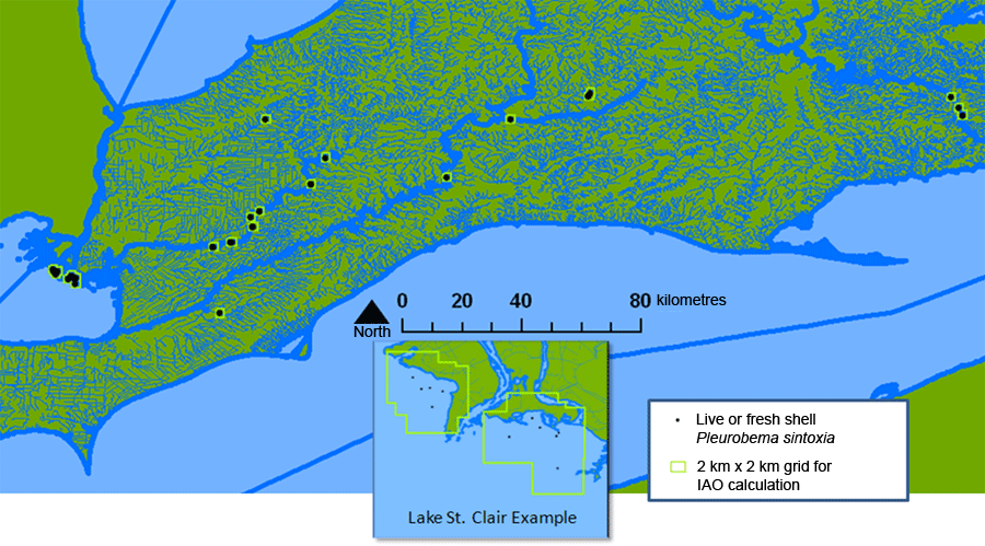 Map of occurrence for Pleurobema sintoxia 5 (see long description below)