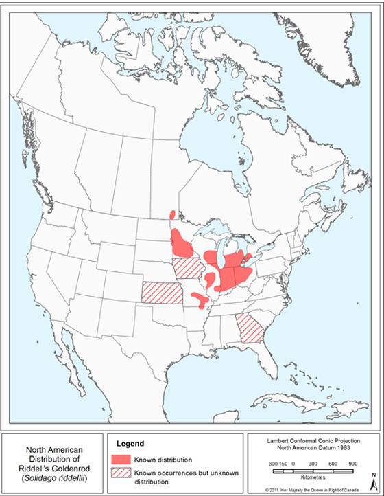 North American distribution of Riddell's Goldenrod