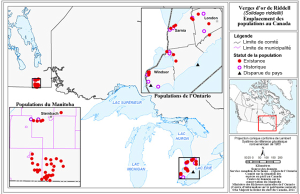 Locations of Riddell's Goldenrod populations in Canada