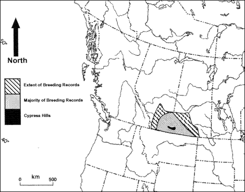 Figure 2.  Breeding range of the McCown's Longspur in Canada.