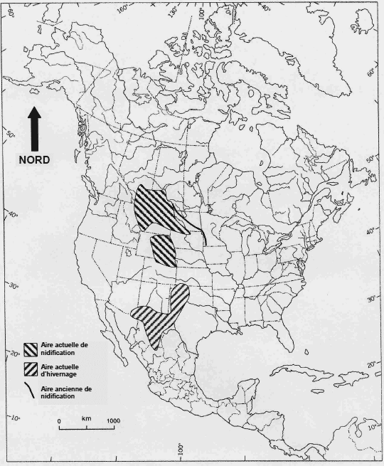 Aires de reproduction et d’hivernage du Bruant de McCown (selon Peterson et Chalif, 1973; Semenchuk, 1992; With, 1994a; Smith, 1996; AOU, 1998; Saskatchewan Wetland Conservation Corporation, 2002; National Audubon Society, 2003; Sauer et al.,2004)