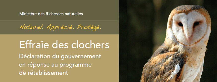 L'effraie des clochers - Déclaration du gouvernement