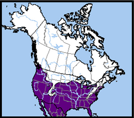 Aire de répartition nord-américaine