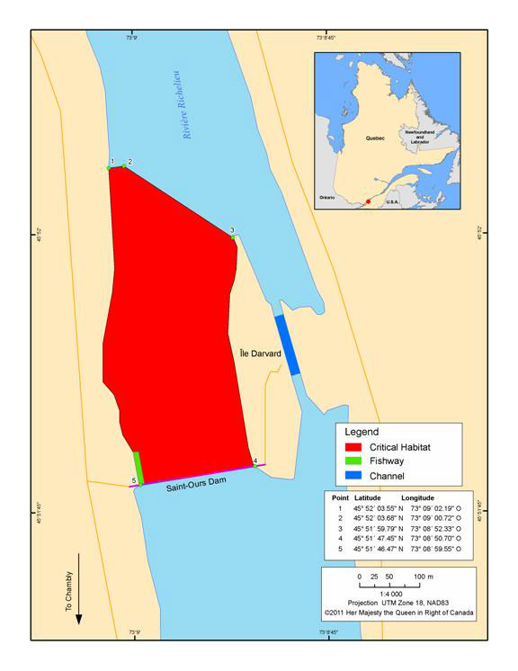 Figure 4. Critical spawning habitat of the Copper Redhorse at the Saint-Ours dam. (See long description below)