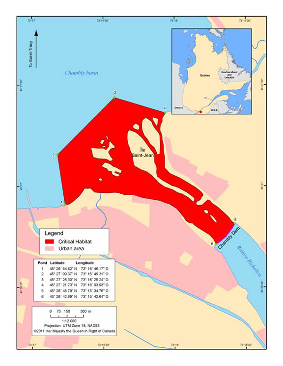 Figure 5. Critical spawning habitat of the Copper Redhorse at the Chambly dam. (See long description below)