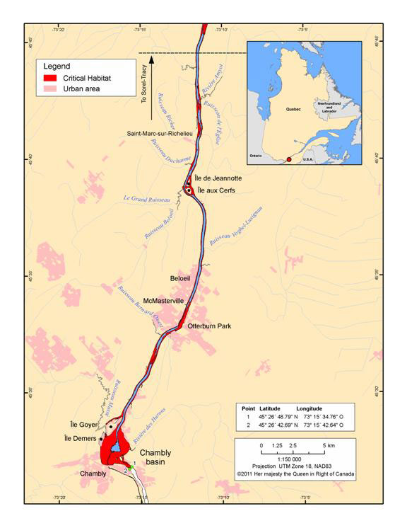 Figure 6. Critical rearing and migration habitat in the upstream reaches of the Richelieu River. (See long description below)