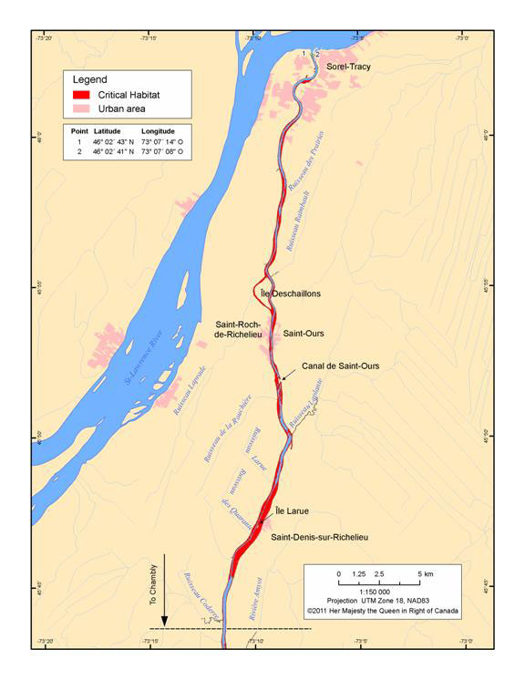Figure 7. Critical rearing and migration habitat in the downstream reaches of the Richelieu River. (See long description below)