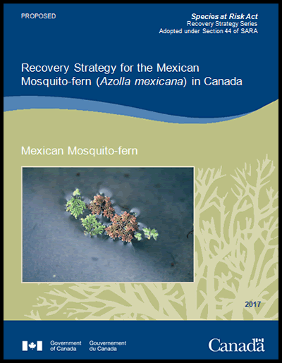 Cover photo of document