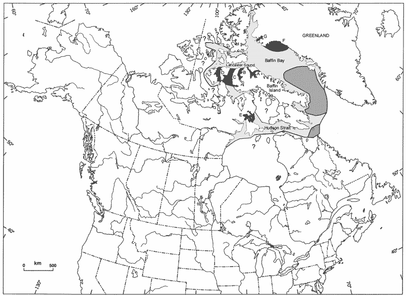 Summer concentrations in solid black include: A. Eclipse Sound/Navy Board Inlet, B. Admiralty Inlet, C. Prince Regent Inlet, D. Peel Sound, E. Foxe Channel, F. Melville Bay, and G. Inglefield Bredning. Wintering concentrations are shown in medium grey and known range in pale grey. Question marks indicate areas where the extent of the narwhal’s distribution is uncertain. Figure 4. Distribution of narwhals inCanada. Modified from Strong (1988) to include material from literature cited in text.