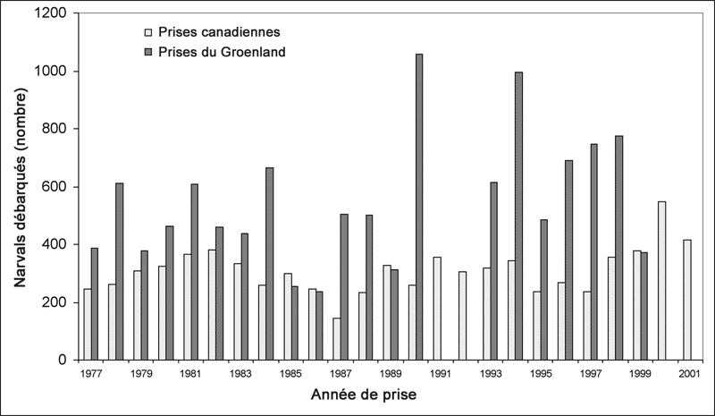 Figure 5.    Débarquements de narvals de la baie de Baffin au Canada et au Groenland, de 1977 à 2001. Les sources des données sont indiquées au tableau 1.