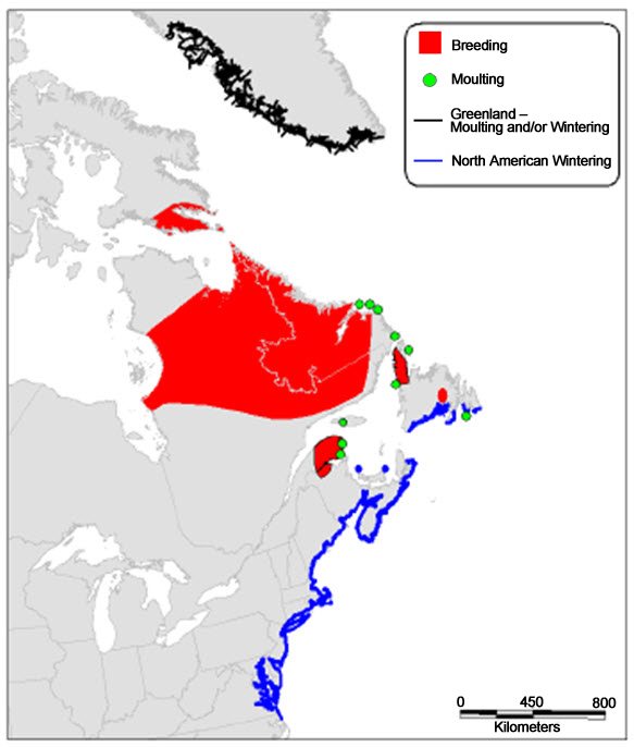 Map of North American Eastern seaboard