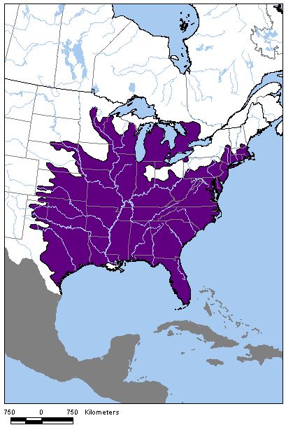 Figure 1.North American range map for the Eastern Hog-nosed Snake 