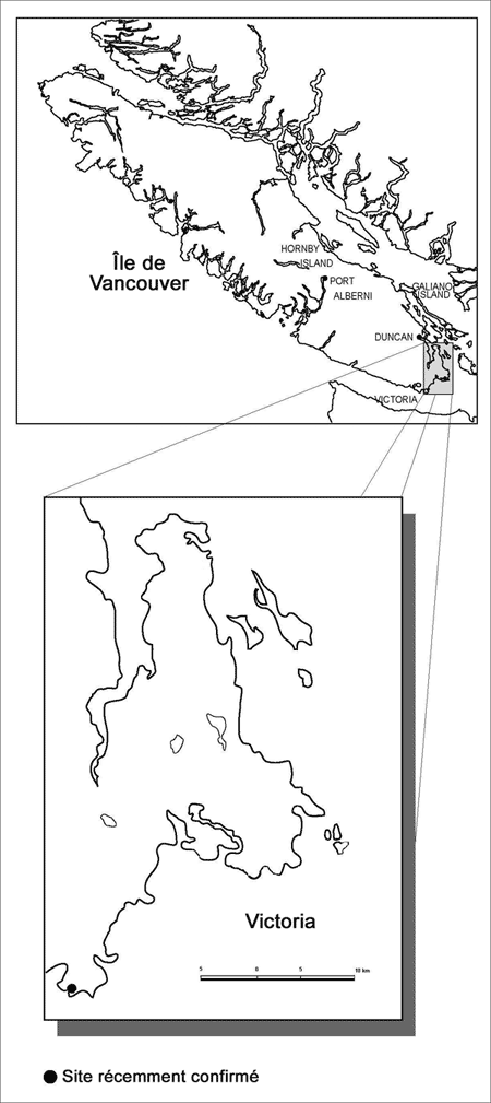 Figure 3. Localisation de Minuartia pusilla en Colombie-Britannique.