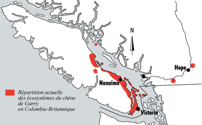 Répartition des écosystèmes du chêne de Garry