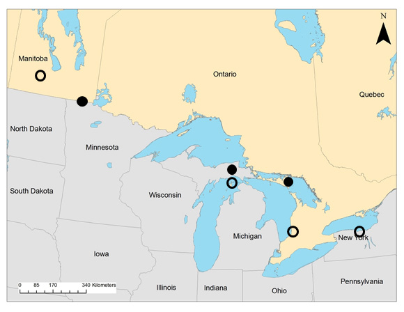 Map: Ontario, northern Michigan, and Pine Creek, Minnesota