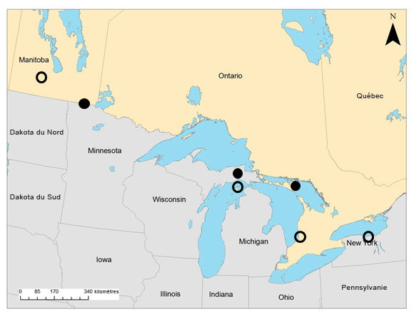 Carte: Ontario, Manitoba, et aux États-Unis