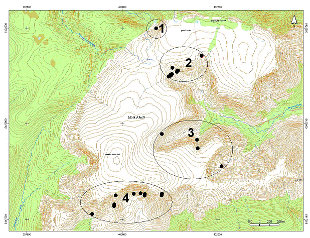 Records of green-scaled willow on MountAlbertgrouped into four potential populations based on 2-dimensional separations of at least 1 km between nearest plants in adjacent populations