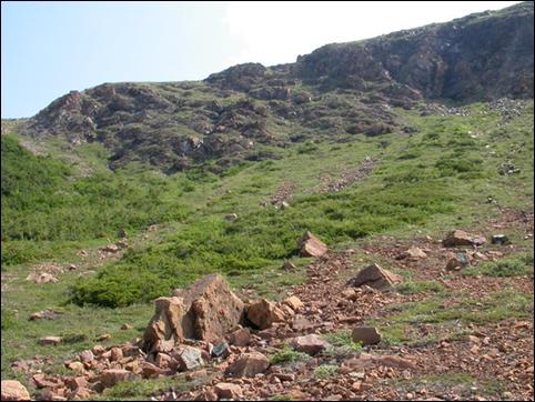 Green-scaled willow habitat in the cirque of Lake Plaqué Malade