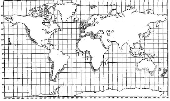 Figure 2. Répartition mondiale du milandre (zones ombrées). Source : Compagno (1984).