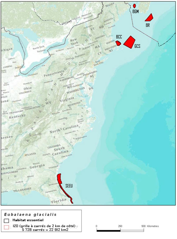 Figure 3. Zones légalement désignées au Canada et aux États-Unis comme faisant partie de l'habitat essentiel de la baleine noire. (Voir description longue ci-dessous.)