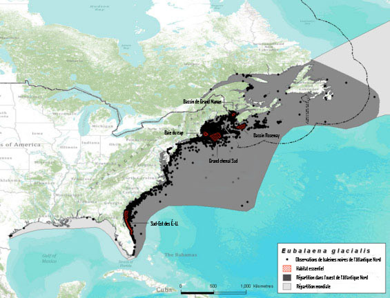 Figure 4. Répartition de la baleine noire de l'Atlantique Nord inférée à partir de données d'observation en eaux états-uniennes et canadiennes dans la période 1849-2010. (Voir description longue ci-dessous.)