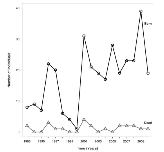 Figure 5. Total numbers of North Atlantic Right Whale calves (young of the year) observed alive and dead each year between 1993 and 2010. (See long description below)