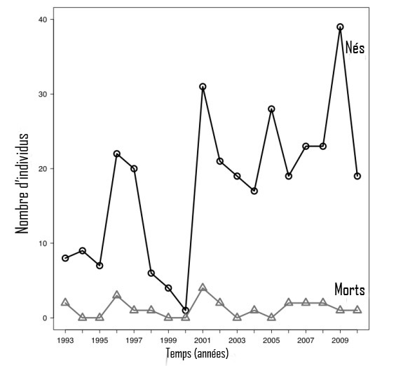 Figure 5. Effectifs totaux des jeunes baleines noires de l'Atlantique Nord (jeunes de l'année) observés morts ou vivants chaque année, dans la période 1993-2010. (Voir description longue ci-dessous.)