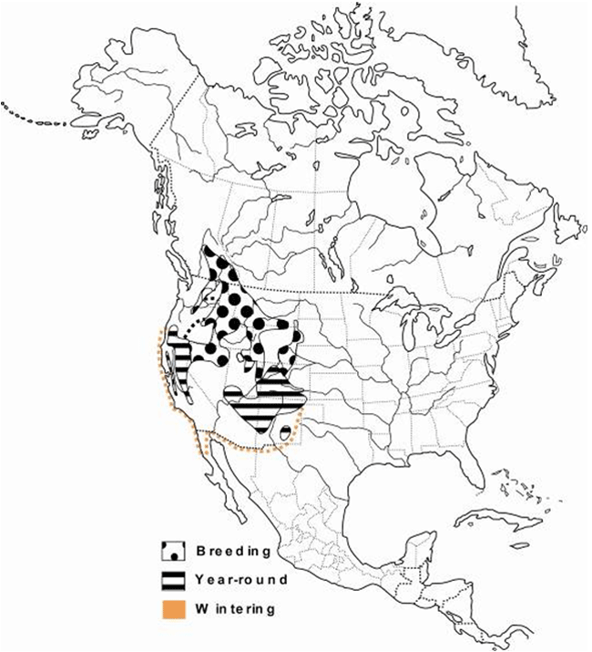 Global distribution of Lewis’s Woodpecker