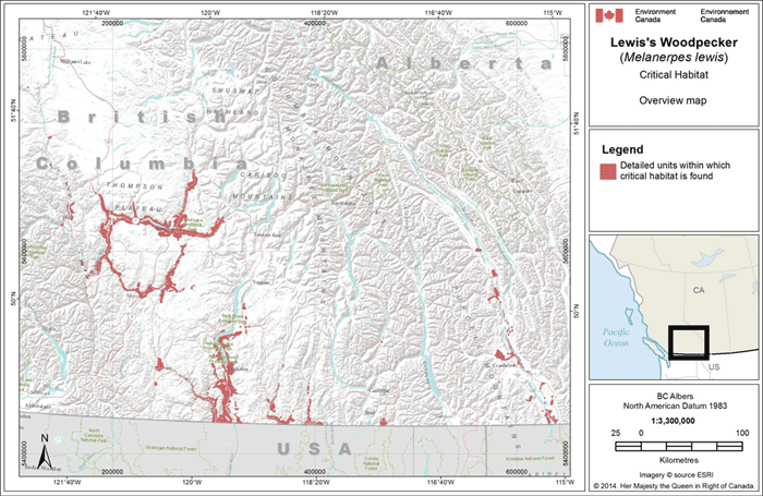  Critical habitat for Lewis’s Woodpecker in Canada
